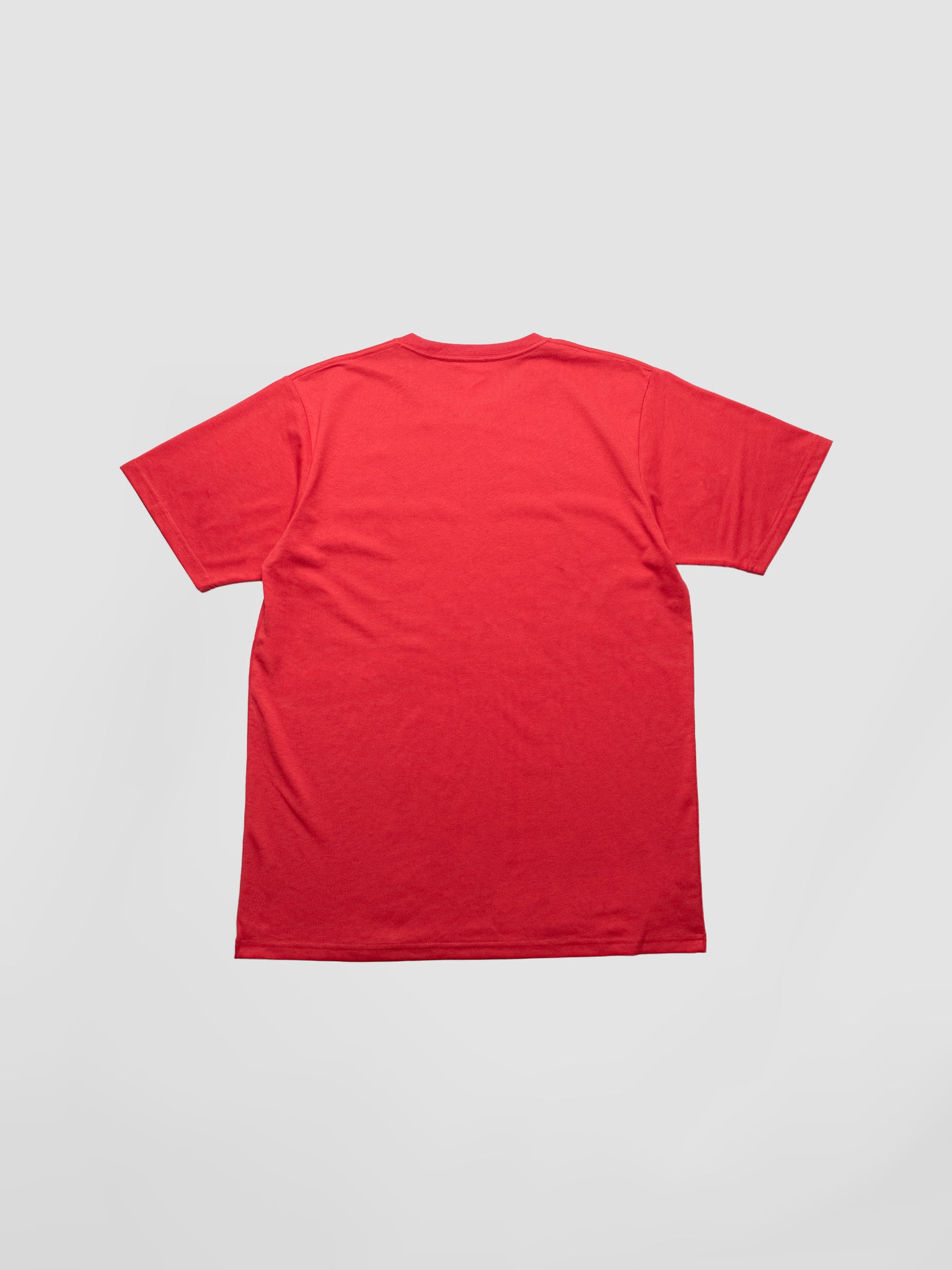 BLANK - Standard Fit T-Shirt Fire Whirl - v2