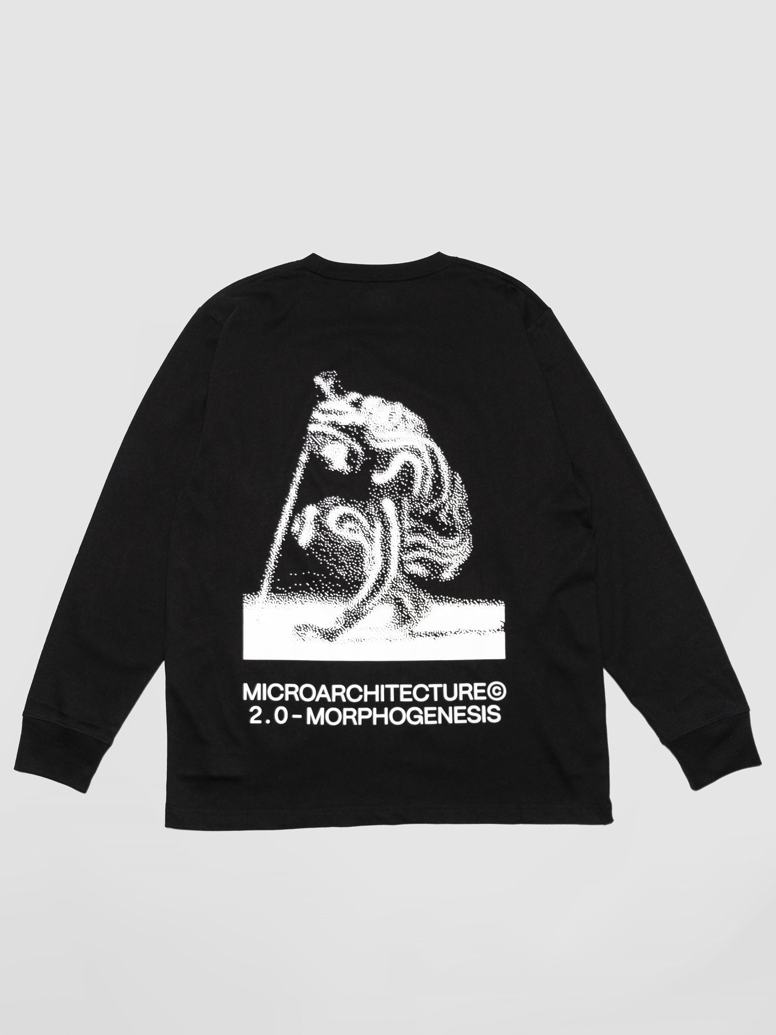 MICROARCHITECTURE©  - 2.0 MORPHOGENESIS Standard Fit Long Sleeve Black